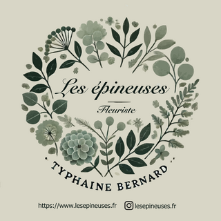 logo lesepineuses.fr